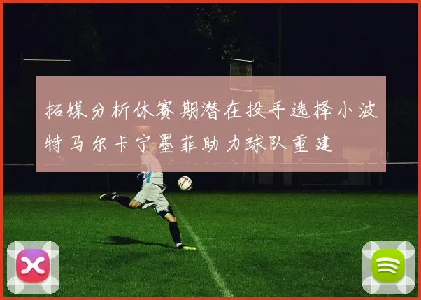 拓媒分析休赛期潜在投手选择小波特马尔卡宁墨菲助力球队重建
