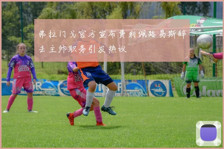 弗拉门戈官方宣布费利佩路易斯辞去主帅职务引发热议