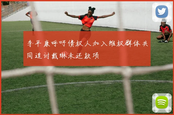 李平康呼吁债权人加入维权群体共同追讨戴琳未还款项