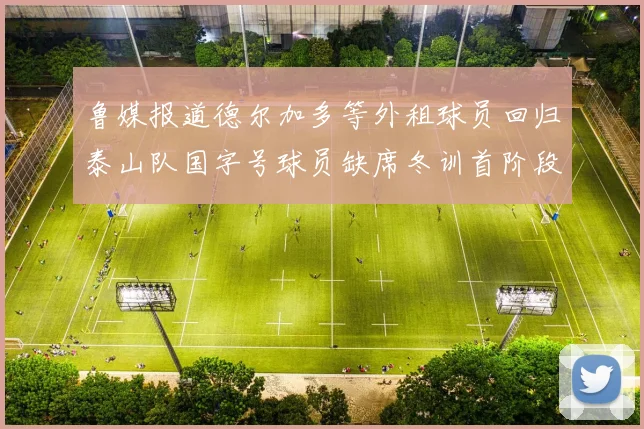 鲁媒报道德尔加多等外租球员回归泰山队国字号球员缺席冬训首阶段
