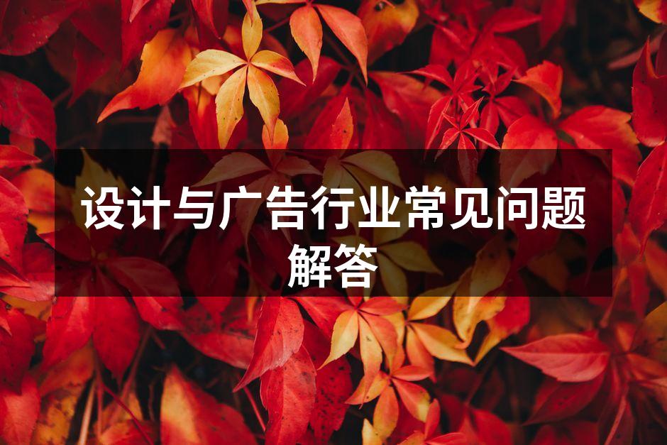 设计风格示例